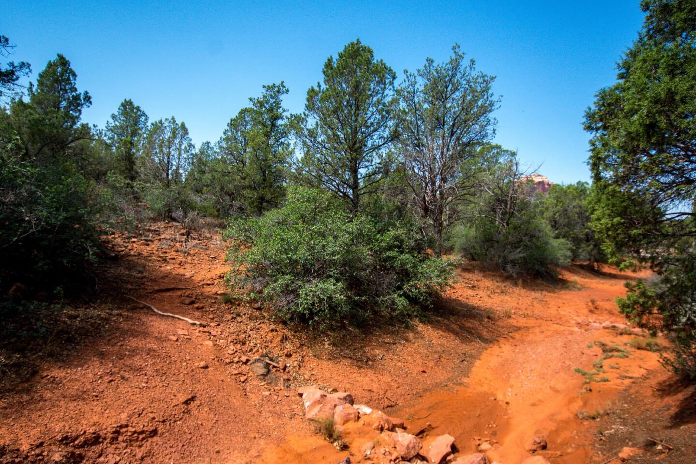 Trailhead a few hundred feet from the door
