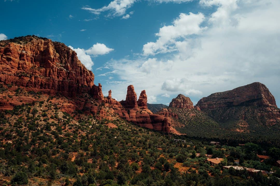 Bringing Your Dog to Sedona: What Actually Works (and What Doesn't)