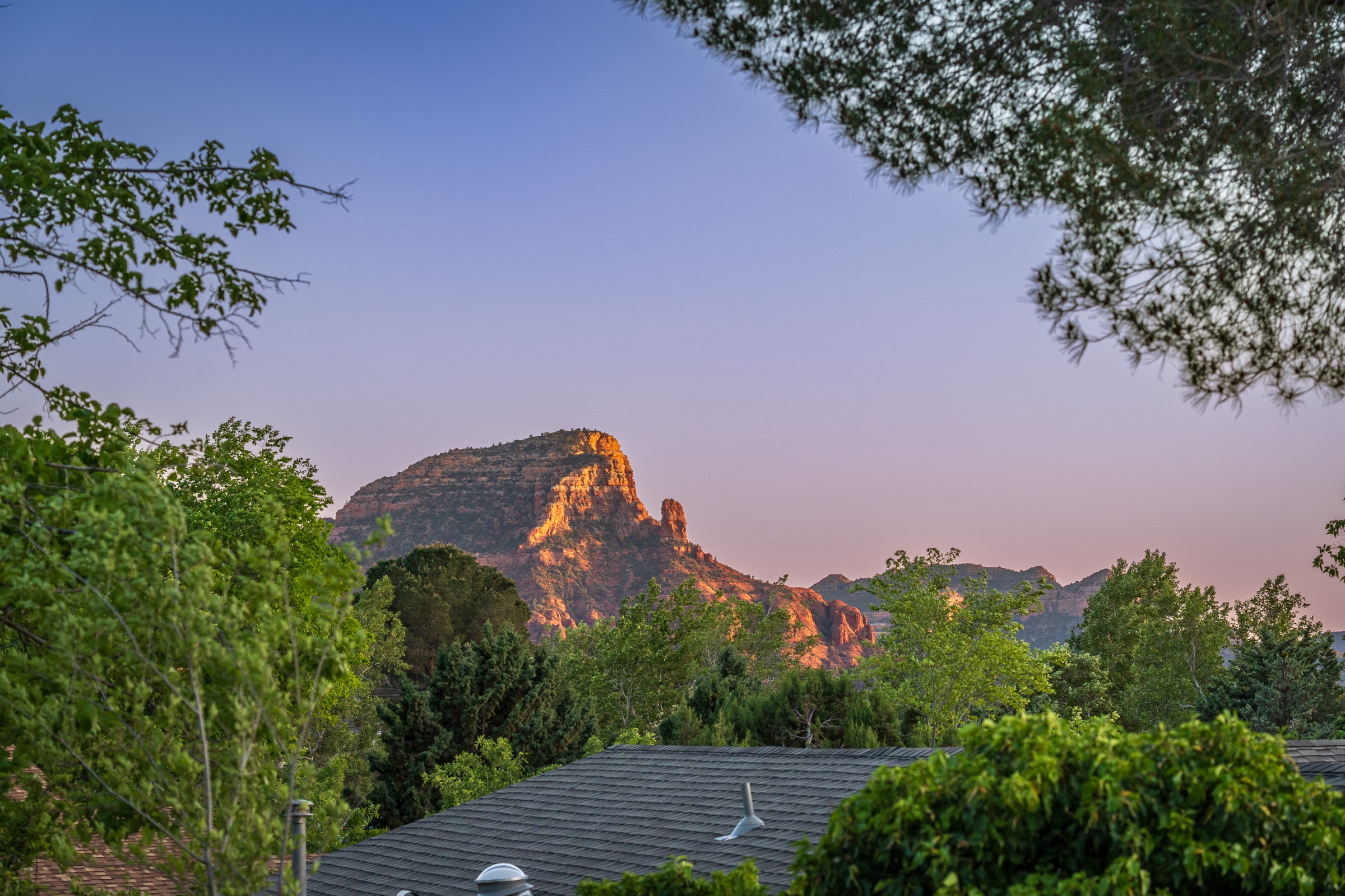 Red rock formations seen at golden hour, framed by juniper trees